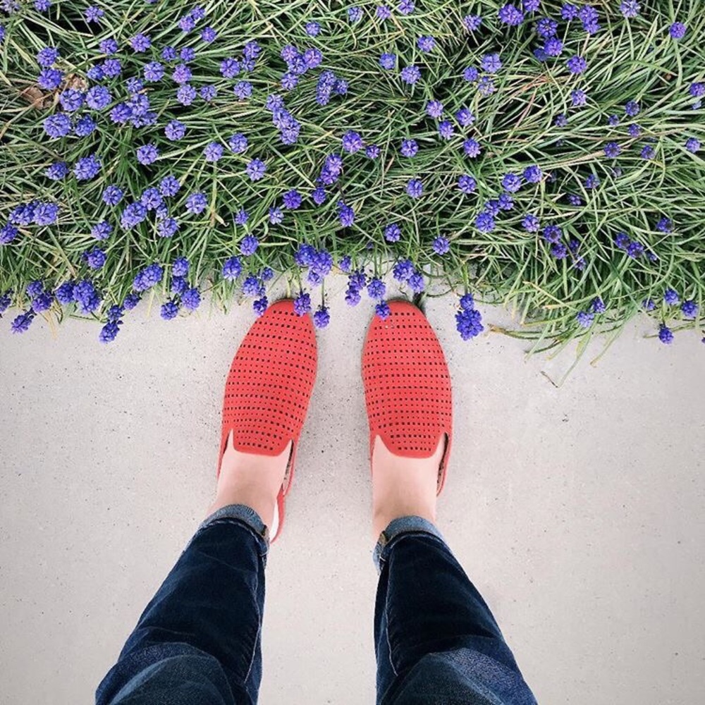 Caslon Coral Cut Out Mules